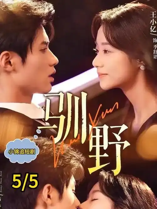 电视剧 无广告播放